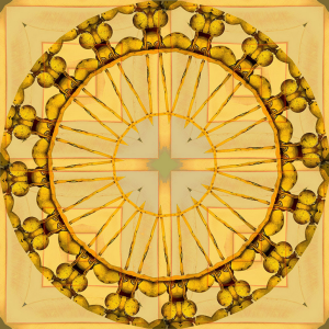 Screen Shot 2015-12-04 at 6.41.53 PM