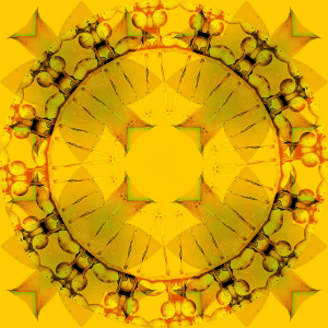 Screen Shot 2015-12-04 at 6.42.05 PM