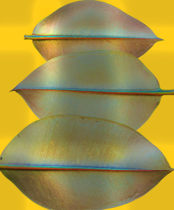 Screen Shot 2015-12-04 at 7.01.10 PM