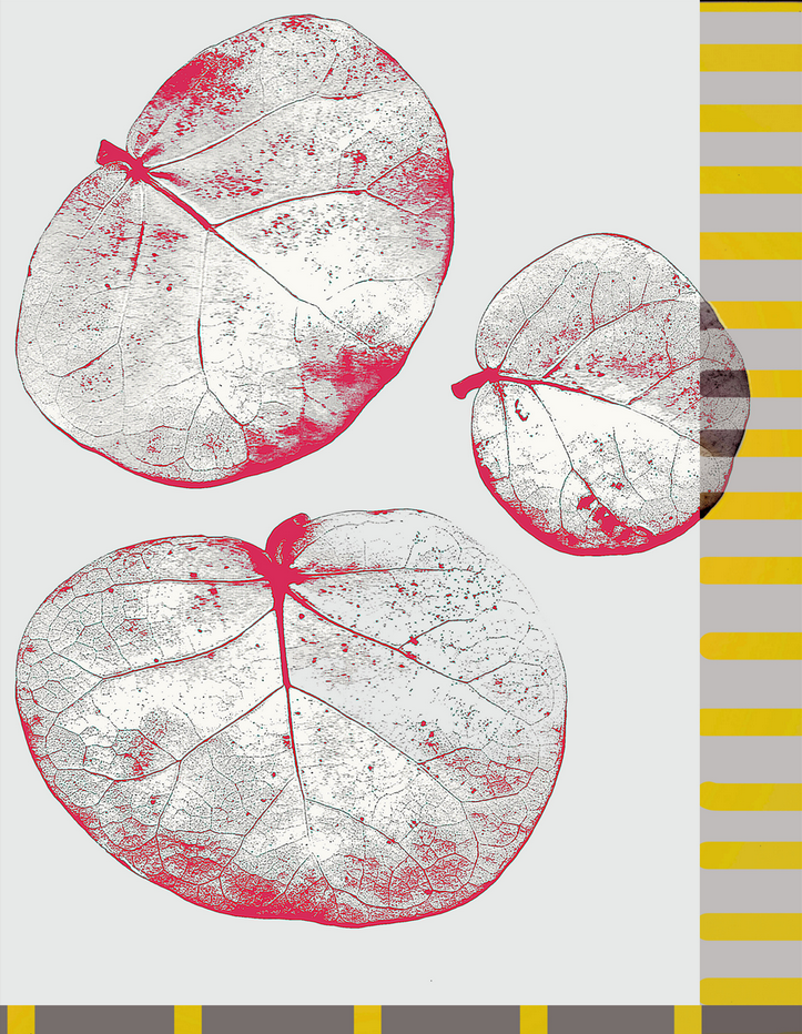 Screen Shot 2015-12-04 at 7.08.26 PM