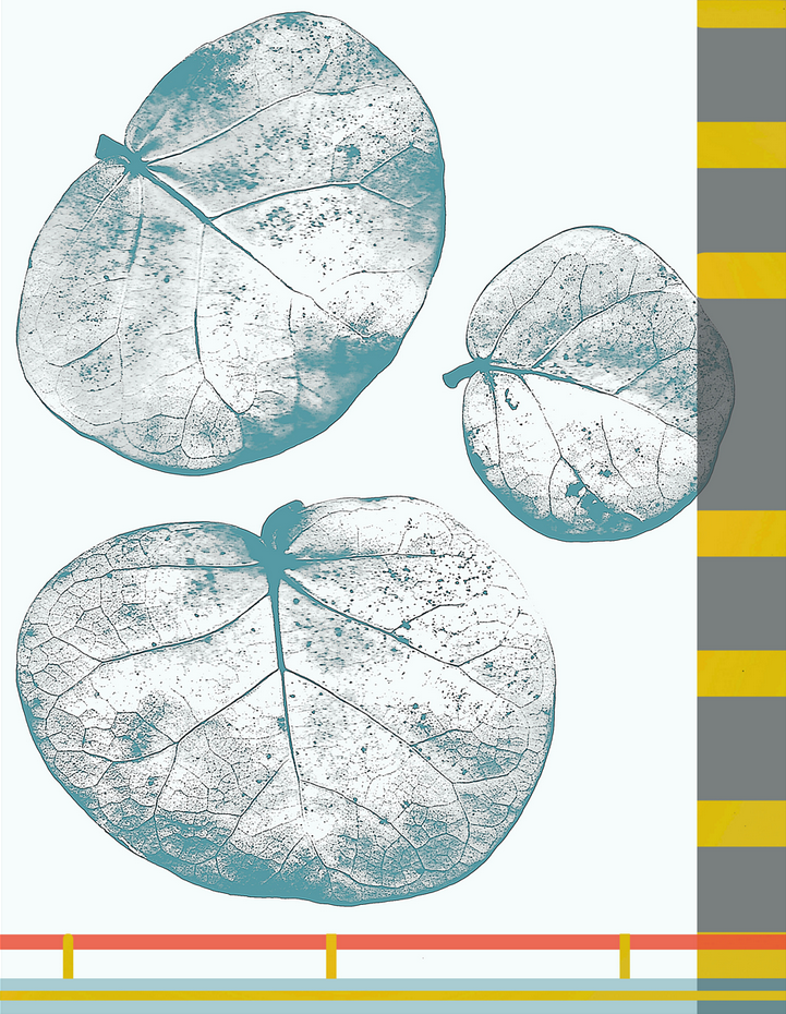 Screen Shot 2015-12-04 at 7.08.40 PM