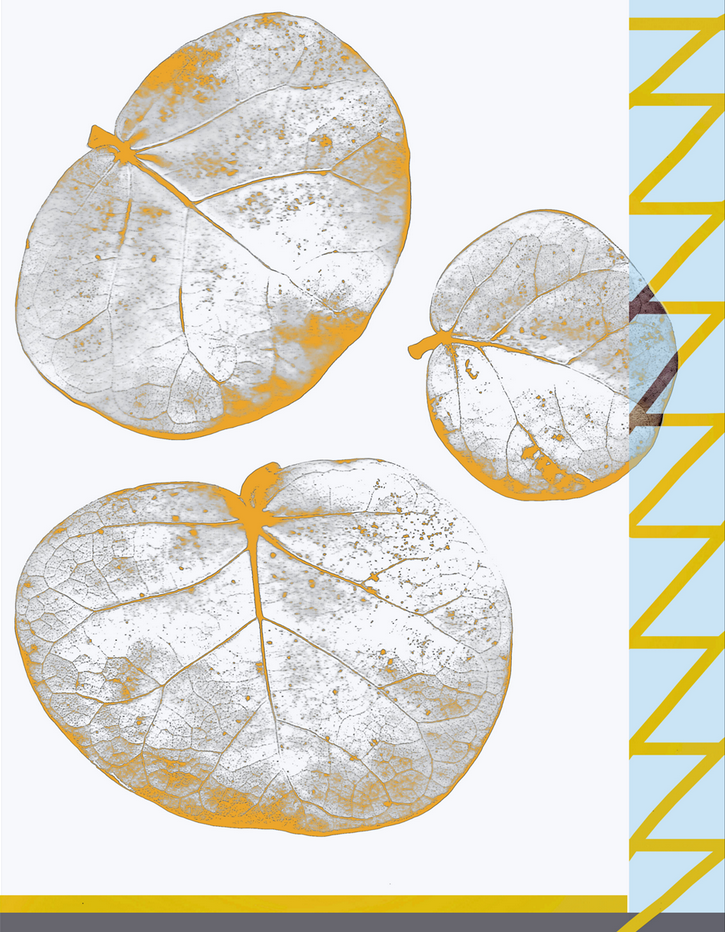 Screen Shot 2015-12-04 at 7.08.53 PM