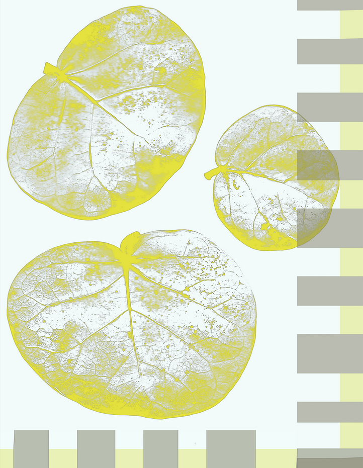 Screen Shot 2015-12-04 at 7.09.06 PM