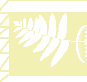 Screen Shot 2016-01-14 at 4.09.24 PM